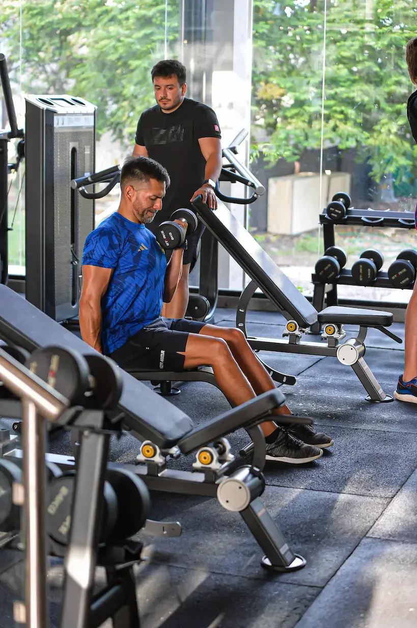 Zona de musculatura
